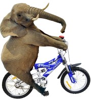 Now that's fantastic.